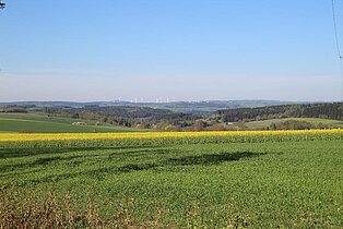 Blick Richtung Mödlareuth, entlang des Rad- und Wanderweges Bayerisches Vogtland